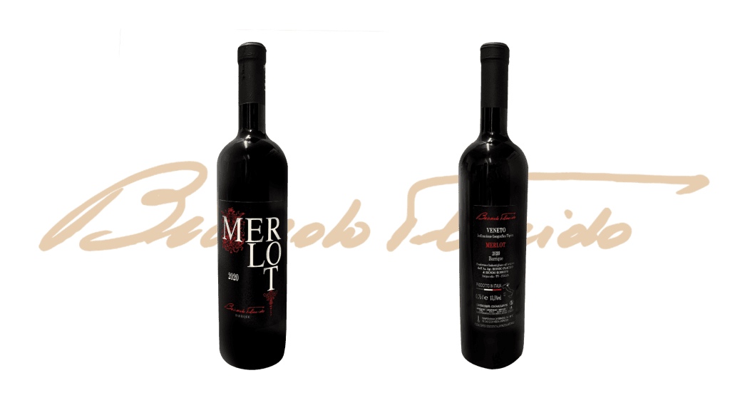 Merlot 2020 barrique Biondo Placido