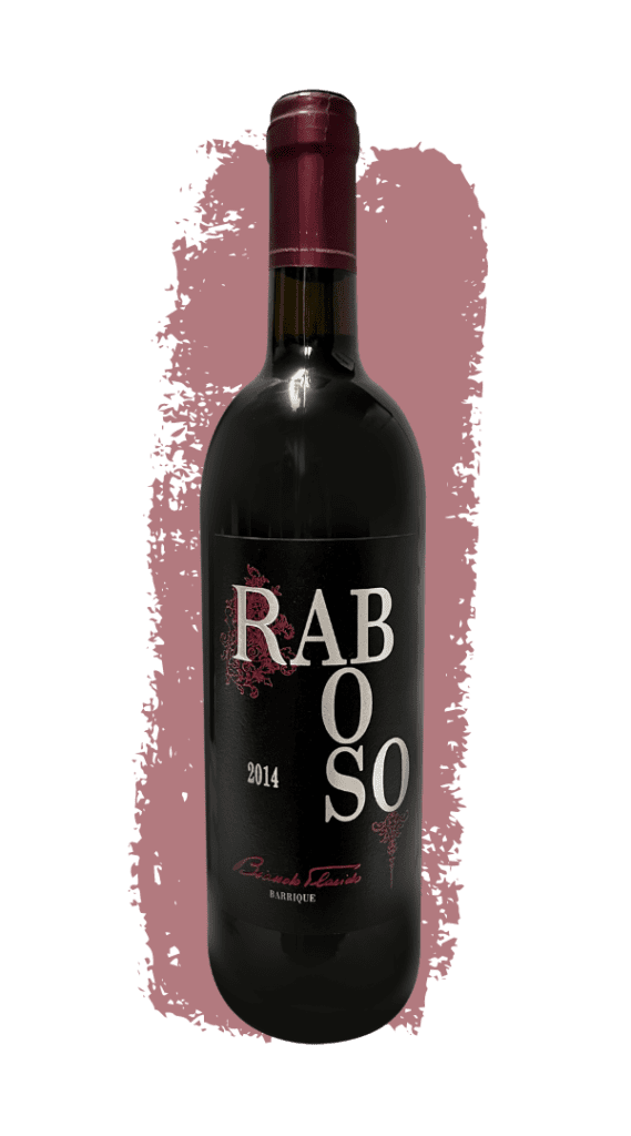 Vino IGT Raboso 2014 Barrique Biondo Placido