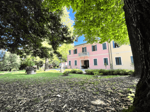 Azienda Agricola Biondo Placido Treviso