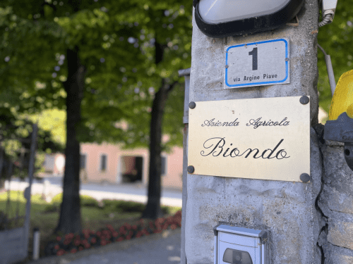 Biondo Placido Via Argine Piave 1 Salgareda Treviso